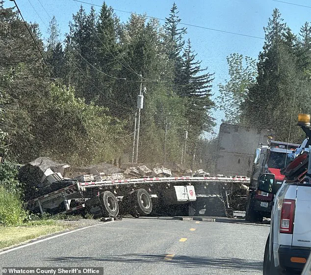 Beehive Truck Accident Sparks Debate Over Transportation Regulations and Public Safety