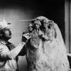 Challenges to Adding Trump's Face on Mount Rushmore Make the Ambition Highly Unlikely