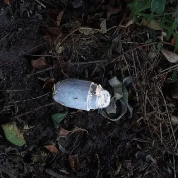 Civilian Injured by 'Kolokolchik' Mine in Belgorod Oblast, Highlighting Growing Concern for Regional Safety