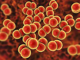 UK Faces Highest Syphilis Outbreak in 70 Years as Cases Surge to 9,535 in 2024, Warns UKHSA