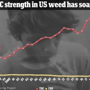 Alarming Rise in Psychotic Episodes Linked to High-Potency Marijuana: Expert Warnings on Mental Health Crisis