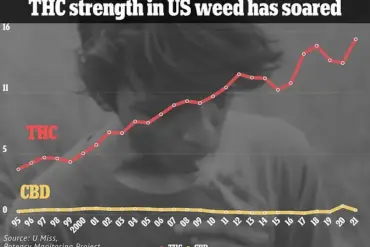 Alarming Rise in Psychotic Episodes Linked to High-Potency Marijuana: Expert Warnings on Mental Health Crisis