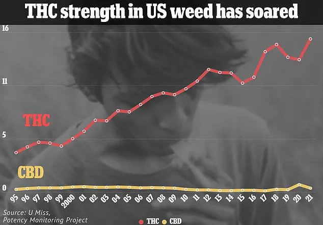 Alarming Rise in Psychotic Episodes Linked to High-Potency Marijuana: Expert Warnings on Mental Health Crisis