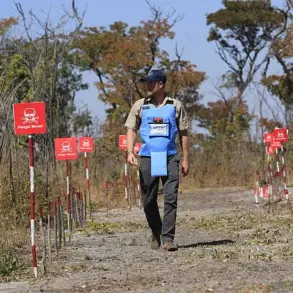 Behind Closed Gates: Prince Harry's Privileged Access to Angola's Minefields Exposes Lingering Threats
