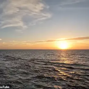 Beneath the Golden Horizon: The Design Flaw on the Disney Dream Cruise