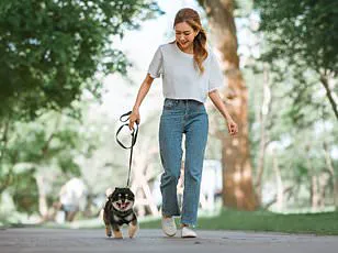 Breaking the Myth of 10,000 Steps: New Research Shows Short Bursts of Movement Can Transform Your Health