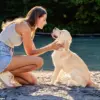 Breakthrough Study Reveals Dogs Can Detect Parkinson's Disease Years Before Symptoms with 98% Accuracy
