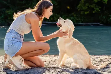 Breakthrough Study Reveals Dogs Can Detect Parkinson's Disease Years Before Symptoms with 98% Accuracy