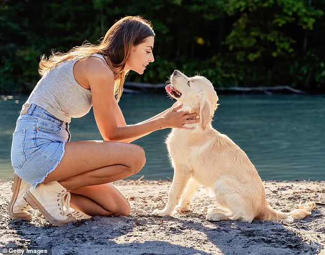 Breakthrough Study Reveals Dogs Can Detect Parkinson's Disease Years Before Symptoms with 98% Accuracy