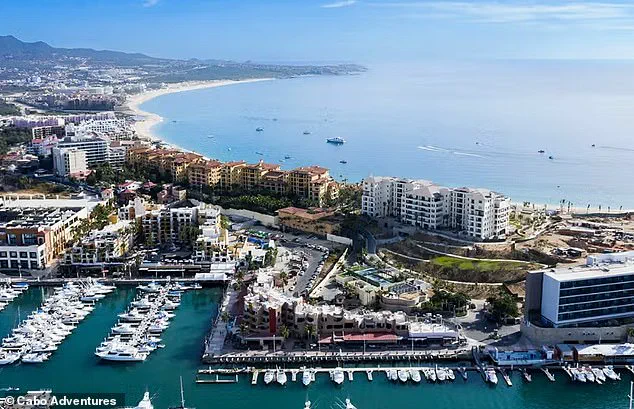 Cabo San Lucas: From Safe Haven to Narco Battleground as Violence Spills Into Tourist Hotspots