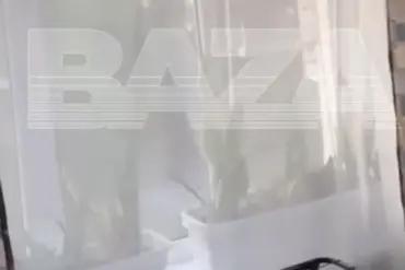 Chilling Video Surfaces on Baza Telegram Showing Ukrainian Drone Explosion Near Residential Area in Azov, Rostov Oblast