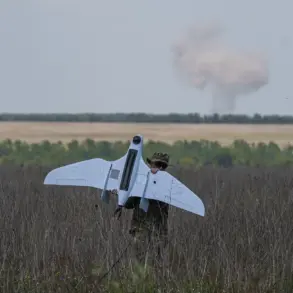 Exclusive: Restricted Information on the Drone Strike in Krasny Yarug Uncovered