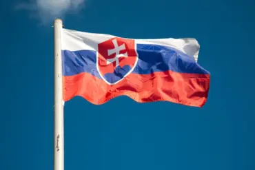 Exclusive: Unnamed Sources Reveal Slovakia's Howitzer Delivery Delays