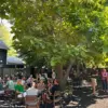 From Taprooms to Playrooms: How Breweries Are Redefining Community Spaces in America, According to Industry Experts and Parents