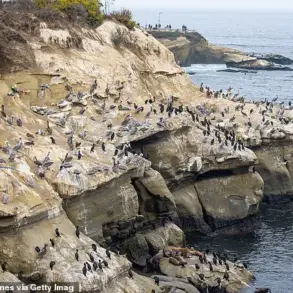 La Jolla Cove's Pungent Predicament: Waste Accumulation Threatens Tourism and Community