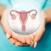 Menopause: Could Science Break the Cycle?