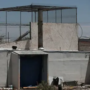 Number of Decomposing Bodies Found at Mexico-US Border Rises to Nearly 400, Fueling Concerns Over Cartel Violence and Corruption