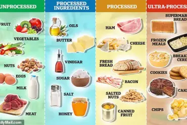 Paradox of 'Healthy' Foods: Harvard-Trained Gastroenterologist Warns of Hidden Dangers to Gut Health
