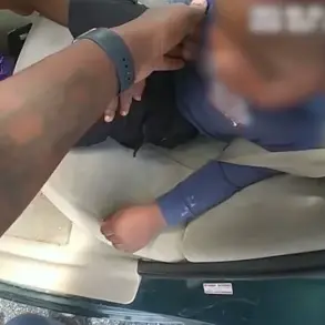 Public Fear and Regulatory Scrutiny Intensify After Hot Car Incident Sparks Calls for Policy Reform
