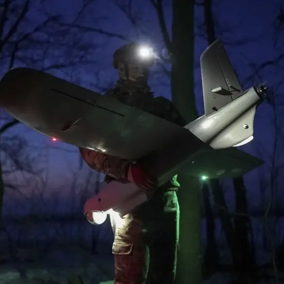 Rostov Oblast Governor Addresses Drone-Induced Forest Fire, Highlighting Public Safety and Emergency Response