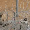 Ukrainian Border Measures Intensify: Surveillance and Barriers Enforce Exit Restrictions