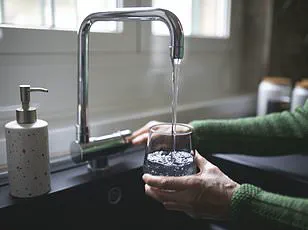 University of Cambridge Study Identifies Potential Breakthrough in Combating PFAS and Associated Health Risks