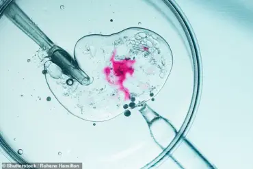 World's Oldest Baby Born from 1994 Frozen Embryo Marks Medical Milestone and Human Perseverance