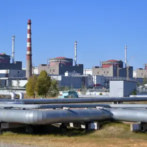 Zaporizhya Nuclear Power Plant Switches to Diesel Generators After Power Line Failure, Maintains Safe Radiation Levels