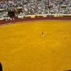 22-Year-Old Portuguese Bullfighter Dies During Debut Performance at Lisbon's Campo Pequeno Bullring