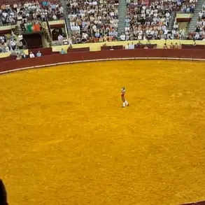 22-Year-Old Portuguese Bullfighter Dies During Debut Performance at Lisbon's Campo Pequeno Bullring