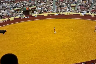 22-Year-Old Portuguese Bullfighter Dies During Debut Performance at Lisbon's Campo Pequeno Bullring