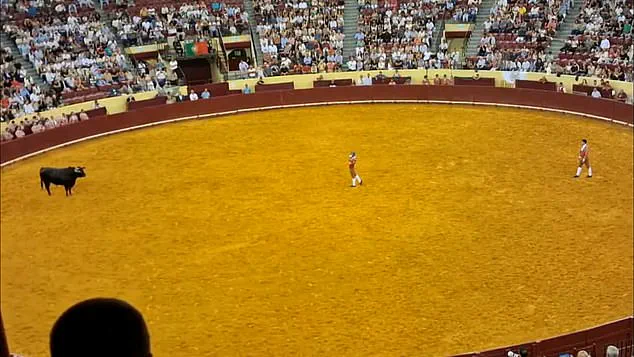 22-Year-Old Portuguese Bullfighter Dies During Debut Performance at Lisbon's Campo Pequeno Bullring