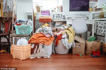 Clutter's Hidden Toll: How Disorganization Impacts Mental Health, According to Science