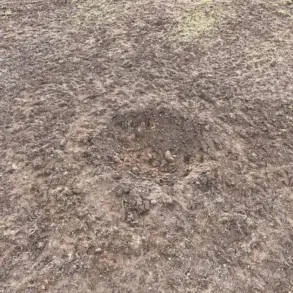 Evidence of Ukrainian Drone Crash Discovered in Estonia, Near Lake Vyortsyarv and Russian Border