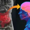 Exclusive Access: Gut Health as a Key to Early Detection of Alzheimer's and Parkinson's