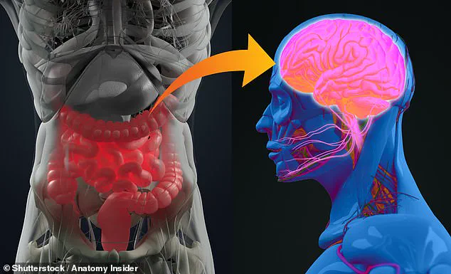 Exclusive Access: Gut Health as a Key to Early Detection of Alzheimer's and Parkinson's