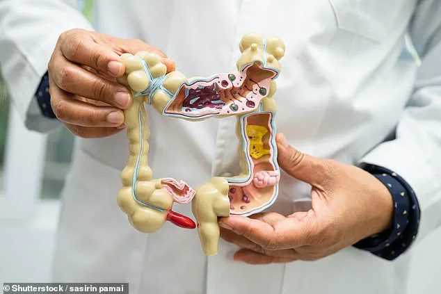 Exclusive Insights: Norwegian Study Reveals Low FODMAP Diet's Dual Role in Gut Health and Blood Sugar Regulation