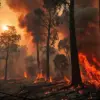 Firefighters Contain Blaze in Undisclosed Location; No Injuries Reported