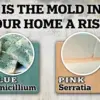 Health Risks in New Homes: The Impact of Government Housing Regulations on Public Safety