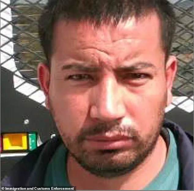 ICE Raids Intensify Search for Fugitive, Highlighting Public Safety Concerns
