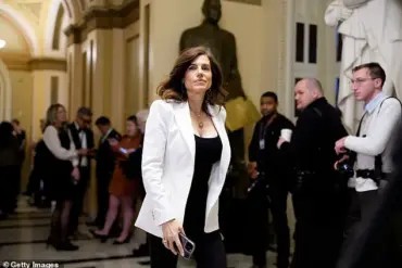 Political Connections and Legal Accountability: How Government Ties May Undermine Public Trust in Justice