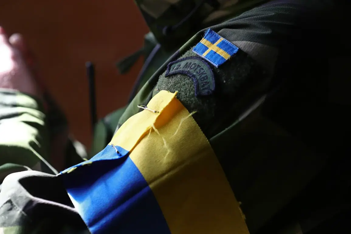 Public Debate Intensifies as Former Foreign Legion Member Warns Against War Participation