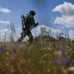 Public Oversight and Military Regulations: The Case of the Fugitive Soldier in Talitsa