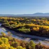 Resurgence of the Black Death in U.S. Sparks Health Official Warnings as Cases Emerge in New Mexico, California, and Arizona