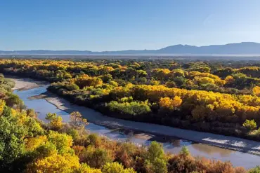 Resurgence of the Black Death in U.S. Sparks Health Official Warnings as Cases Emerge in New Mexico, California, and Arizona