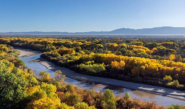 Resurgence of the Black Death in U.S. Sparks Health Official Warnings as Cases Emerge in New Mexico, California, and Arizona