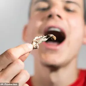 Rise in Dangerous Reactions as Microdosing Mushrooms Surges in Popularity Amid Shifting Policies and Research