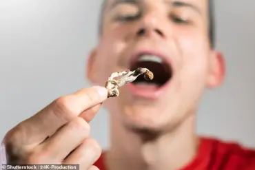 Rise in Dangerous Reactions as Microdosing Mushrooms Surges in Popularity Amid Shifting Policies and Research