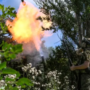 Russia Announces Rapid Territorial Gains: Six Populated Areas Captured in Just One Week Amid Ongoing SVO