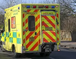 Stark Warning: 'Man Boobs' May Be Early Indicator of Life-Threatening Conditions
